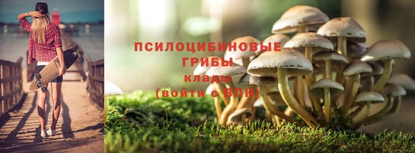 гидра Галич