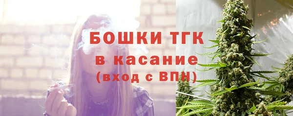 первитин Михайлов