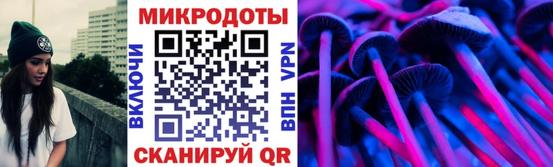 что такое   Навашино  Галлюциногенные грибы MAGIC MUSHROOMS 